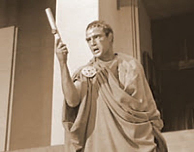 Essay of julius caesar